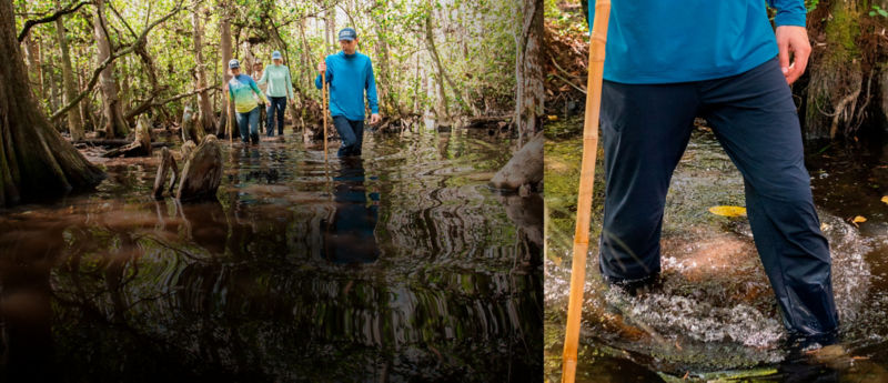 A split image, both images of a man walking through deep wetland water while wearing long pants.