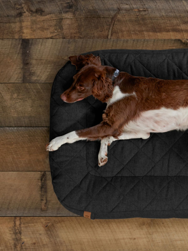 A spaniel laying on black dog bed on a wooden floor.