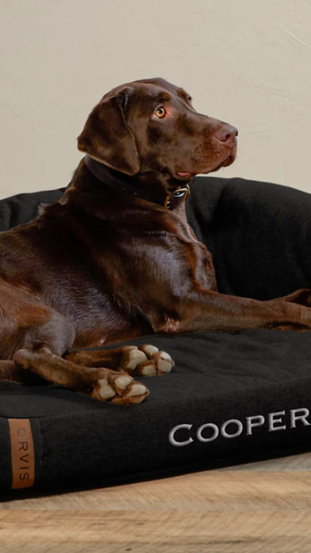 A chocolate Labrador retriever laying on dark grey dog bed with Cooper embroidered on the front.