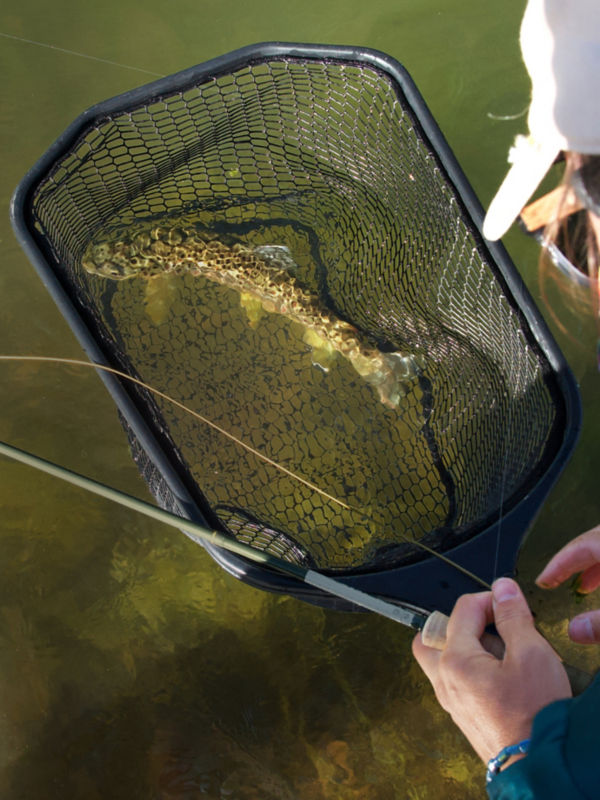 An angler with a fish in a net adjusts her fly line and rod.