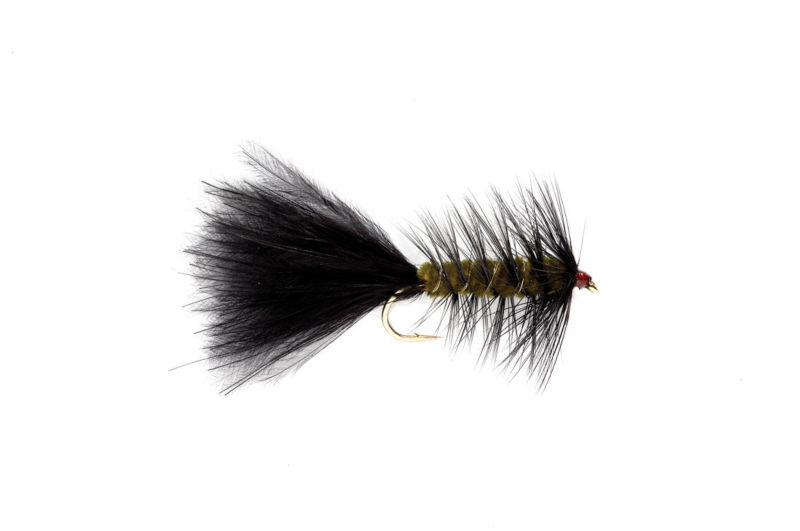 Woolly Bugger - OLIVE/BLACK