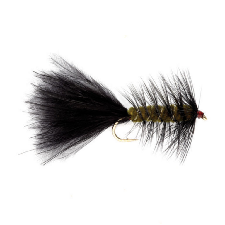 Woolly Bugger -  image number 0