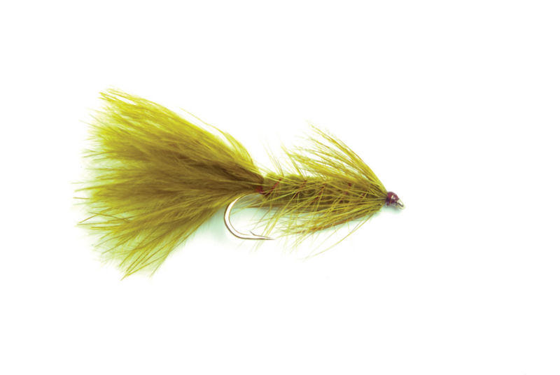Woolly Bugger - OLIVE image number 0
