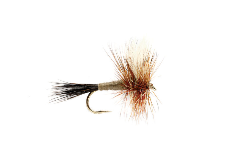 Adams Wulff -  image number 0