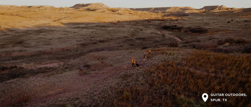 A scenic wide angle view of 3 hunters in a field with a dog.