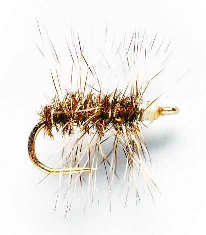 Griffith&rsquo;s Gnat - 