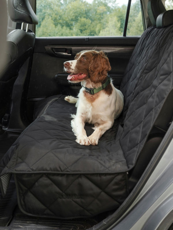 A brown and white dog laying on the back seat of car with dark grey seat protector.