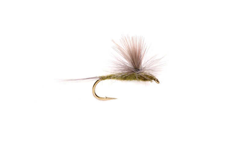 Blue Wing Olive Parachute - 