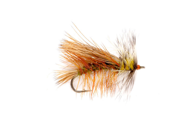 Stimulator Attractor Fly in Olive