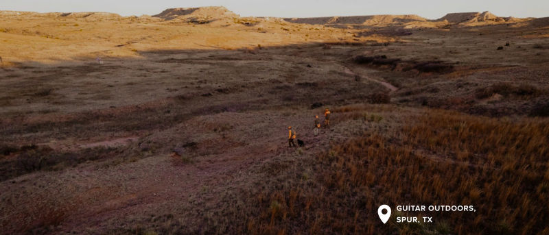 A scenic wide angle view of 3 hunters in a field with a dog.