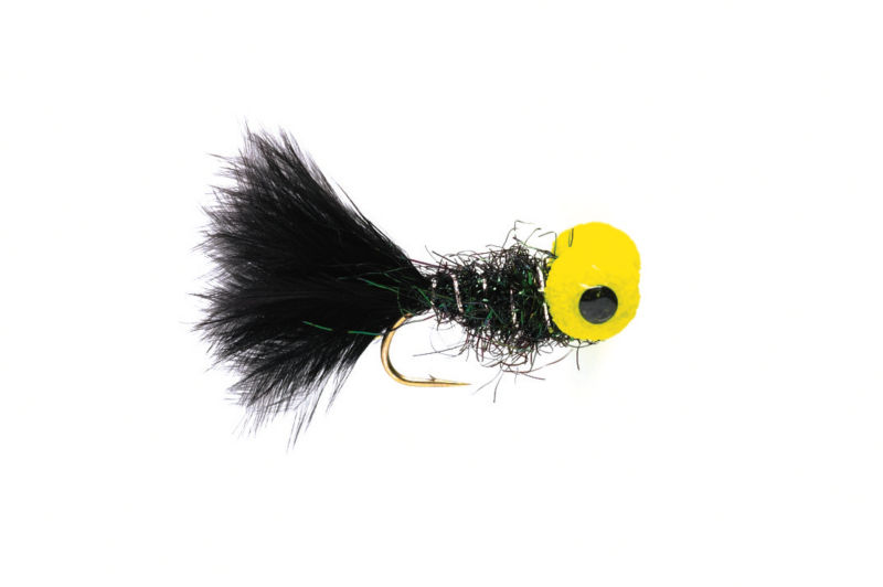 Big-Eyed Panfish Bug - BLACK