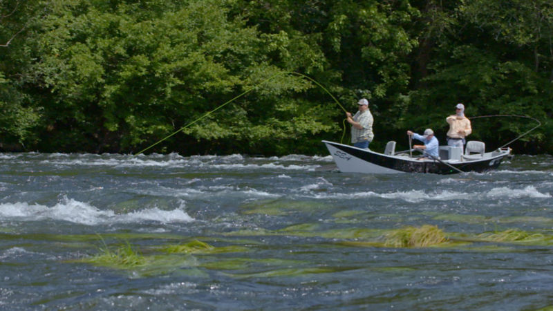 Southeastern Anglers, TN -  image number 3