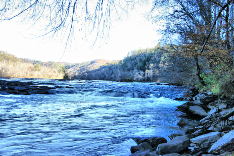 Southeastern Anglers, TN -  image number 4