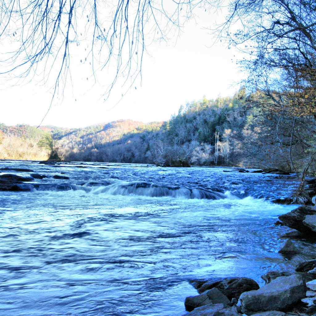 Southeastern Anglers, TN -  image number 4