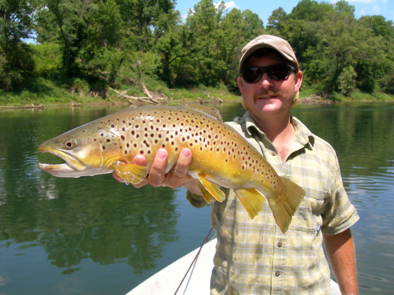 Southeastern Anglers, TN -  image number 1