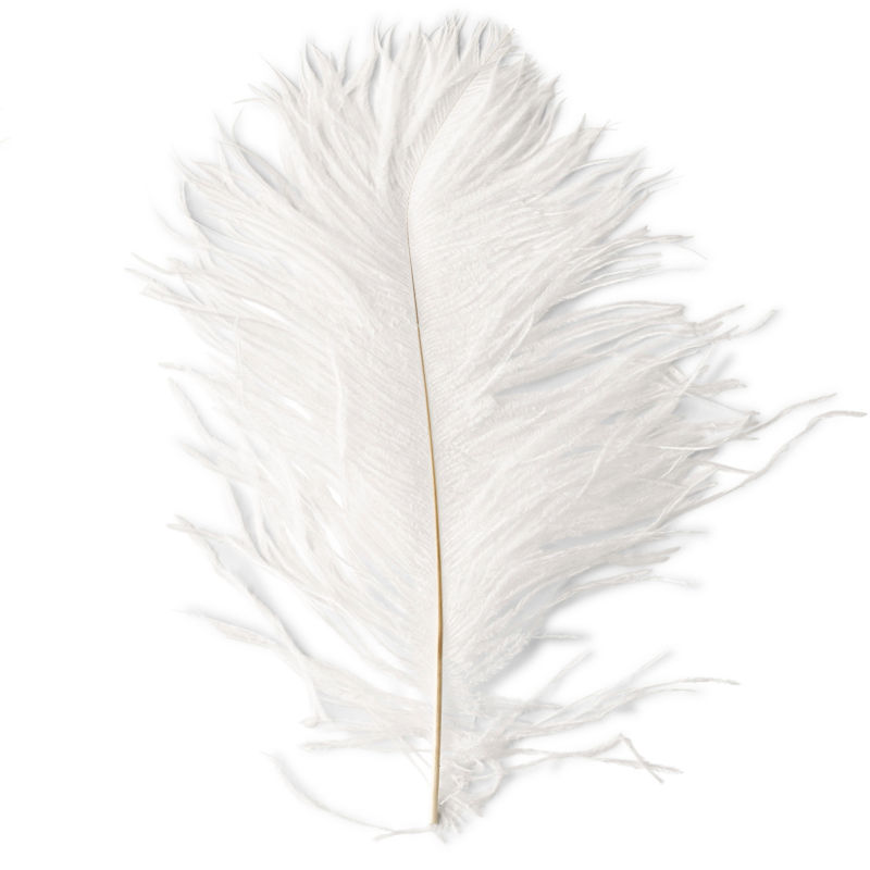 Ostrich Herl - WHITE