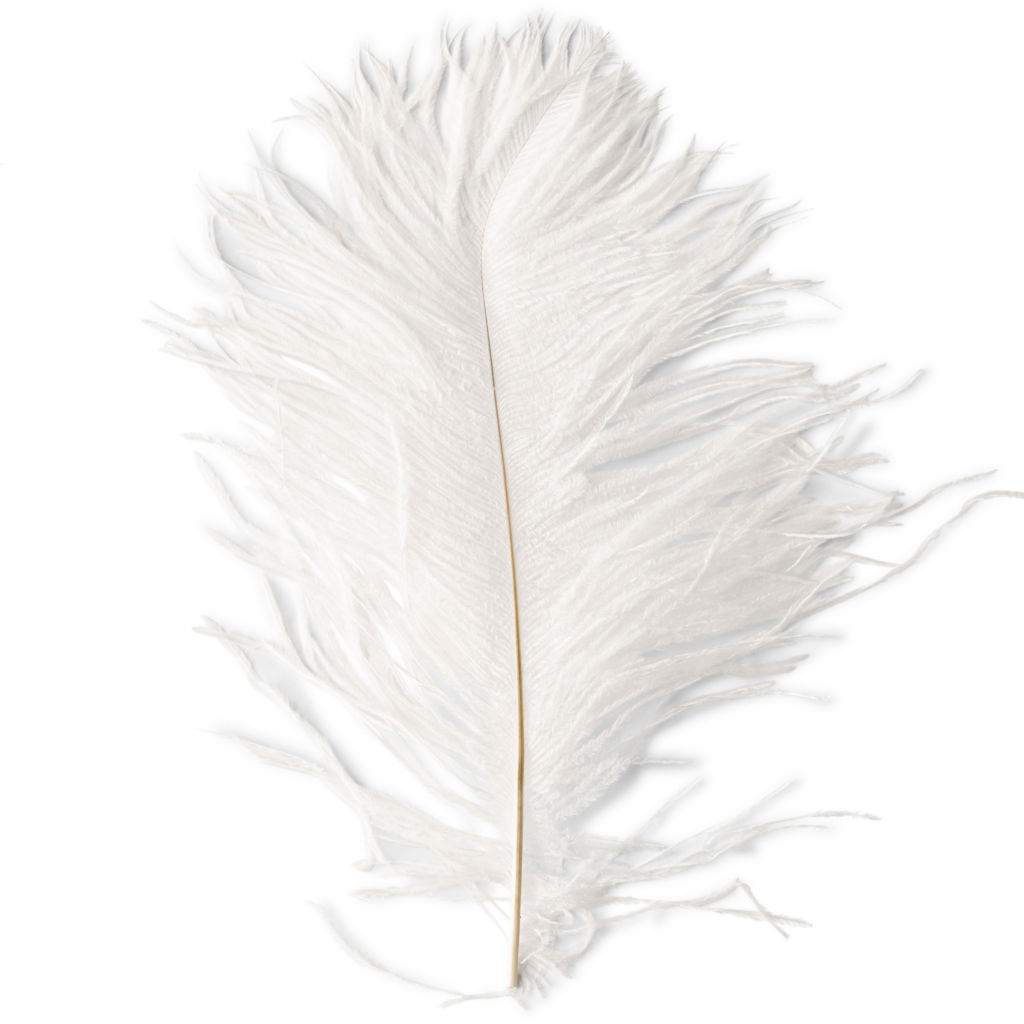 Ostrich Herl Fly-Tying Feathers