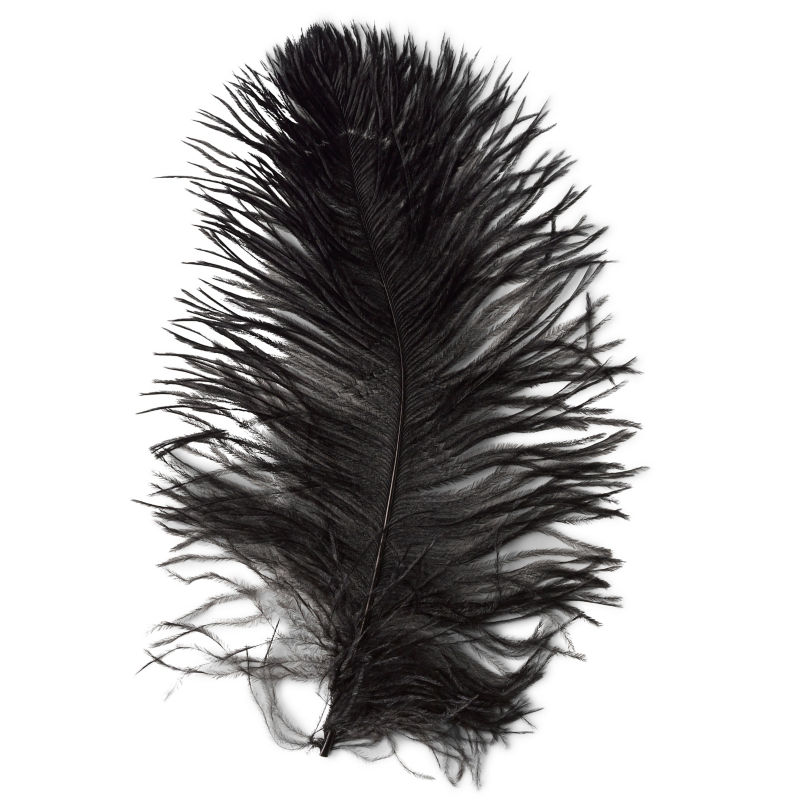 Fly Tying Feathers Ostrich Feathers Herl Choice of colours used in fly tying 