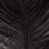 Ostrich Herl - BLACK