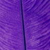 Ostrich Herl - PURPLE