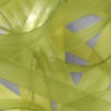 Scud Shellback - OLIVE