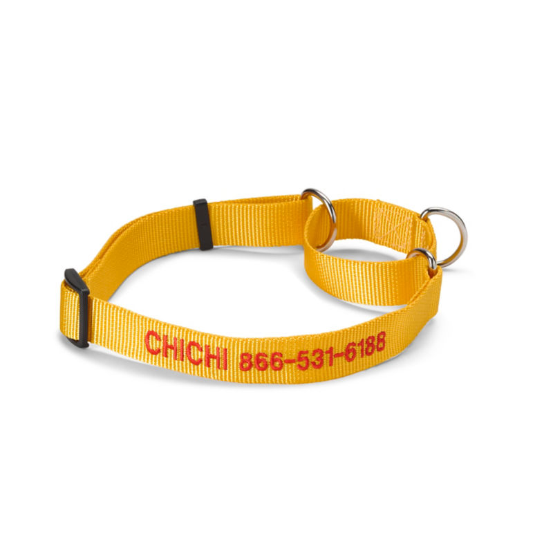 Personalized Martingale NoPull Dog Collar Orvis