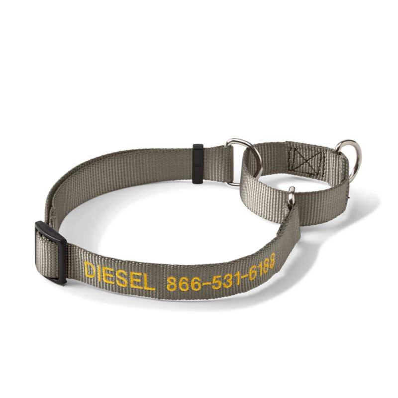 Personalized Martingale NoPull Dog Collar Orvis