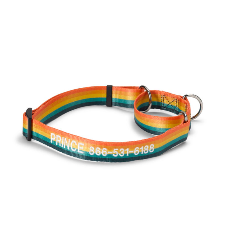 Personalized Martingale NoPull Dog Collar Orvis