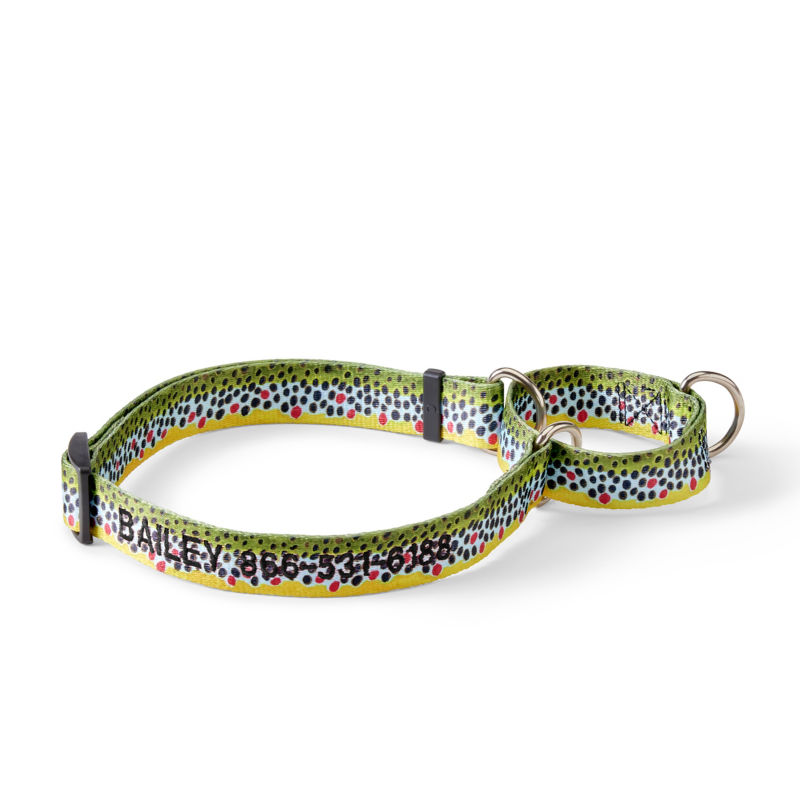 Personalized Martingale NoPull Dog Collar Orvis