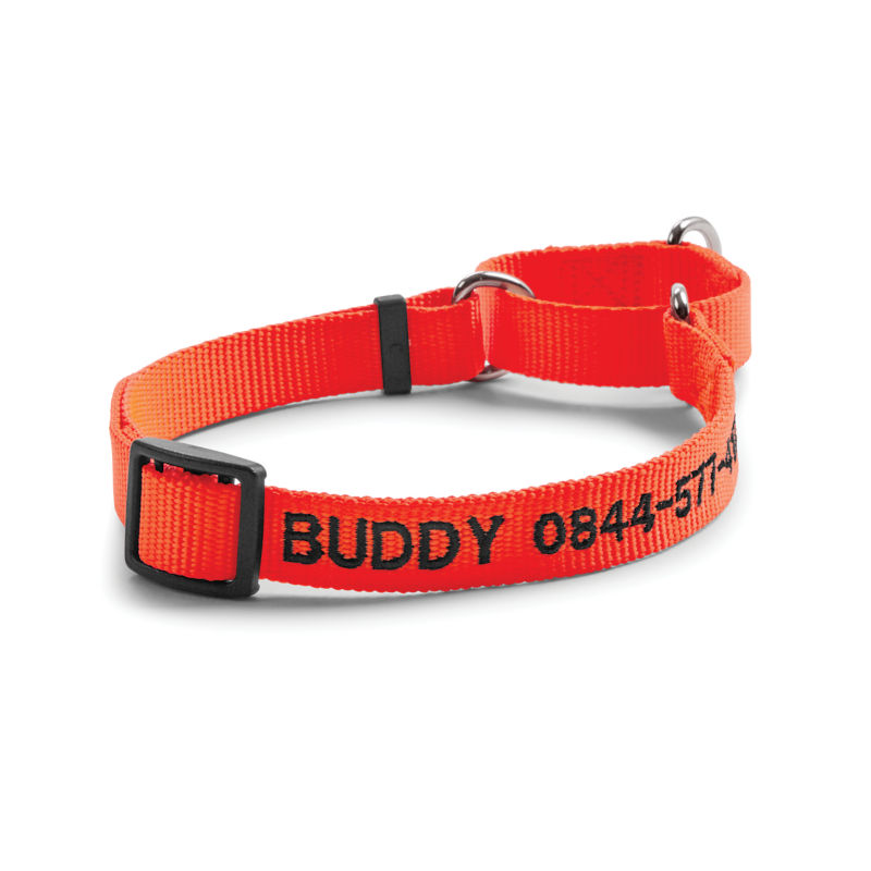 Personalized Martingale NoPull Dog Collar Orvis