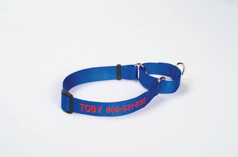 Personalized Martingale NoPull Dog Collar Orvis