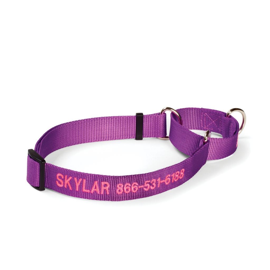 Personalized Martingale No-Pull Collar -  image number 0