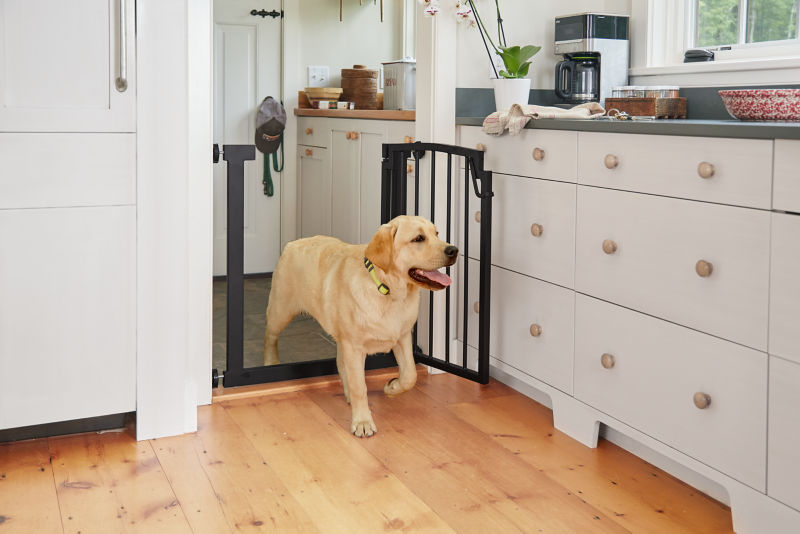 Easy-Mount DoorFrame Gate -  image number 2