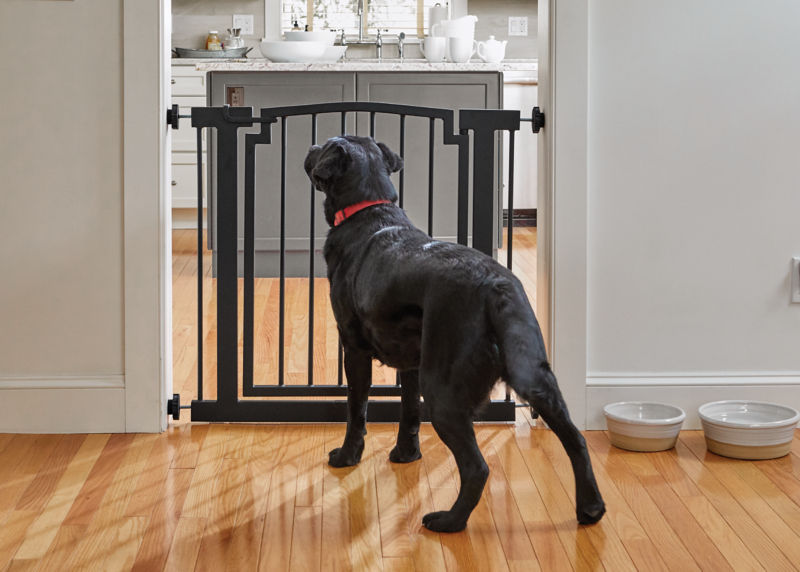 Easy-Mount DoorFrame Gate - 