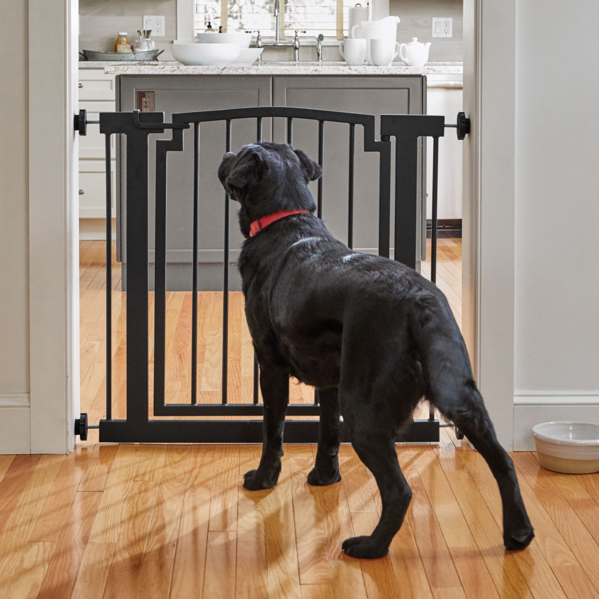 Easy-Mount Wide Metal Dog Gate | Orvis