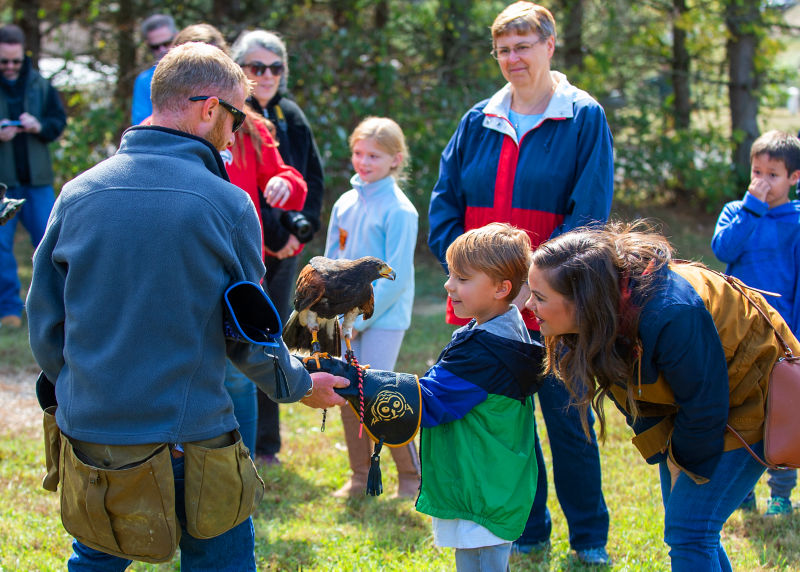 A child holding a falcon surrounded by watching adults.