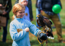 A young girl holding a falcon on her arm.