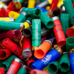 A bright pile of used multicolor shotgun shells.