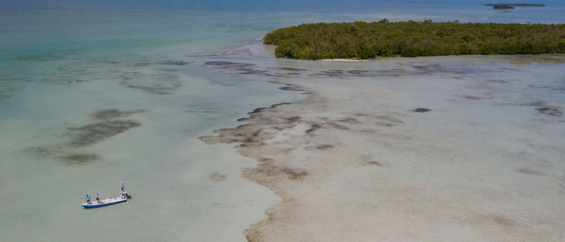 An aerial view of three anglers on a skiff fly fishing in the clear turquoise waters off Belize.