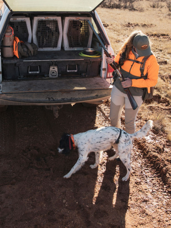 A hunter and her dog getting ready to hunt at the back of a truck.