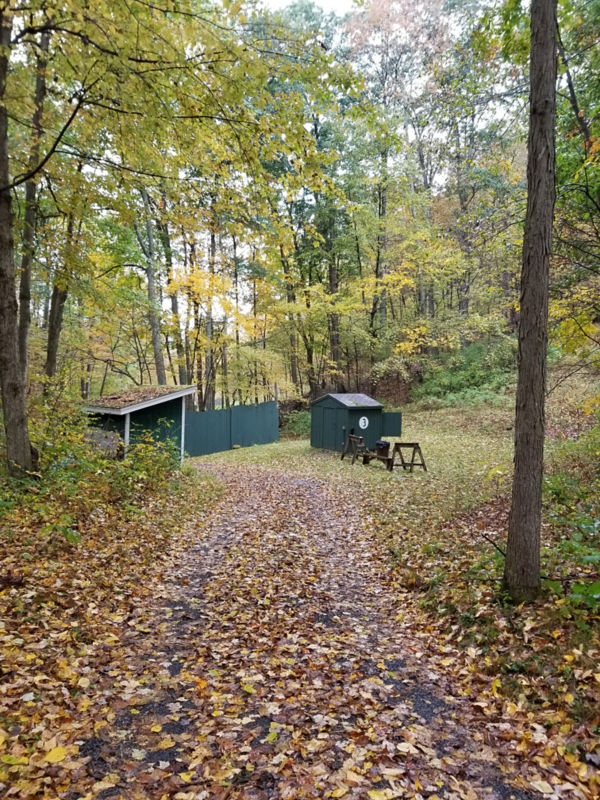 Manchester Wingshooting School, VT -  image number 1