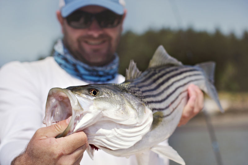 Capt. Dave Pecci, ME -  image number 0