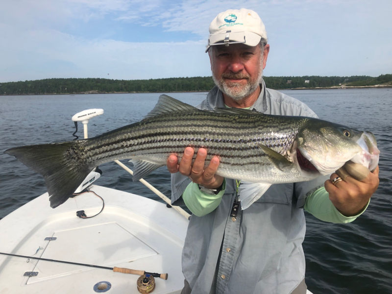 Capt. Dave Pecci, ME -  image number 2