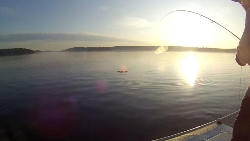 Capt. Dave Pecci, ME -  image number 3