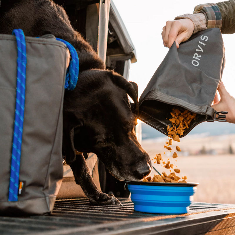 Someone pours dry dog food from a travel container into a travel bowl for their black dog.