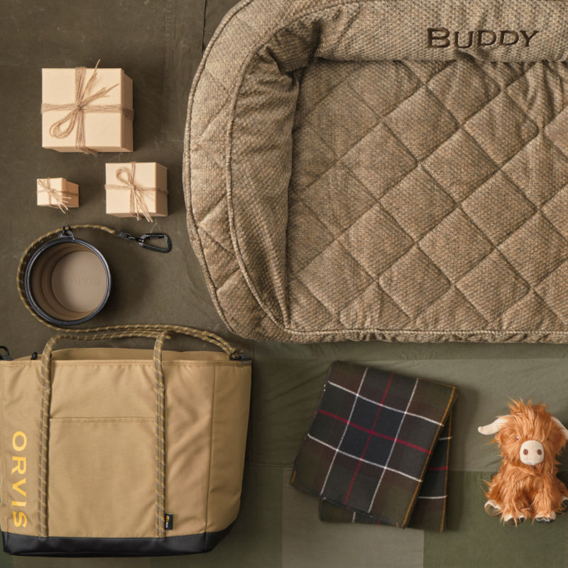 A collection of gifts for dogs laid neatly on a green tablecloth like a dog bed and stuffed toy.