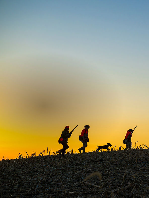 Three hunters and their dog silhouetted against a hill at sunrise.