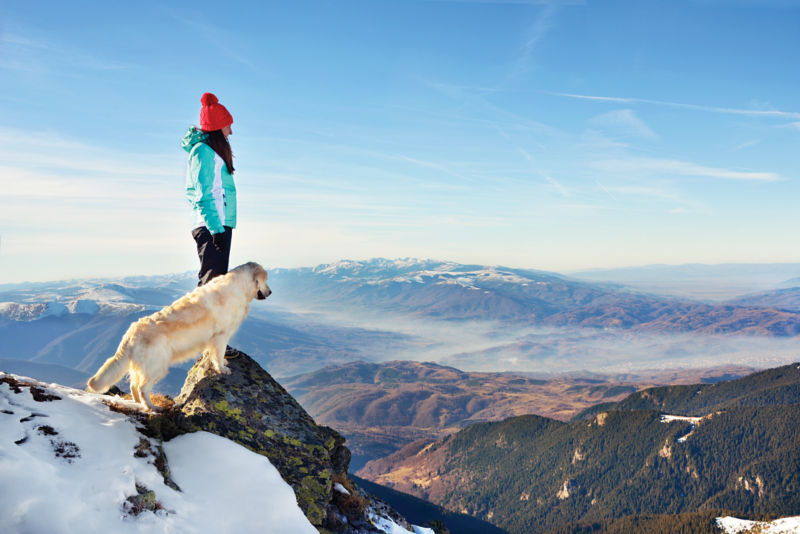A woman with a golden retriever dog on top of a mountain during winter watching a beautiful landscape.
