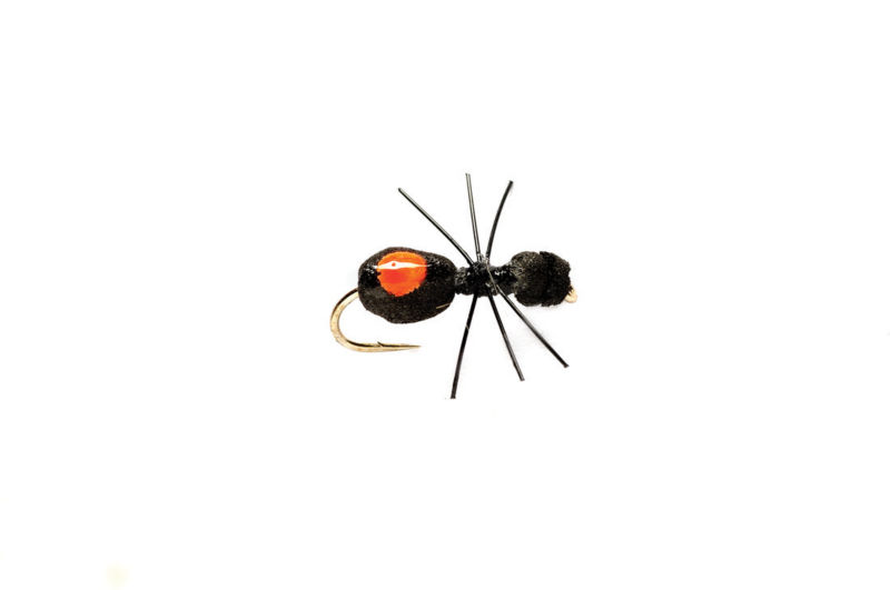 Quick Sight Foam Ant - 