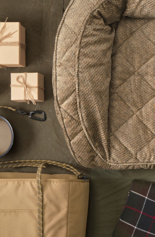 A collection of gifts for dogs like a dog bed and a tote laid on a green background.